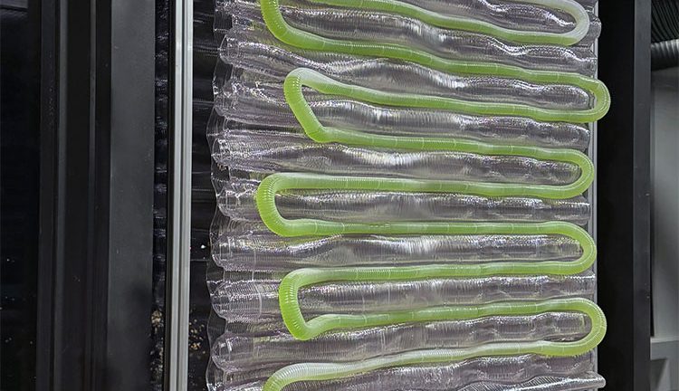 Transforming Indoor Environments with 3D Printed Algae Reactor Technology
